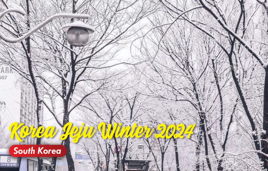 Korea Jeju Winter 2024