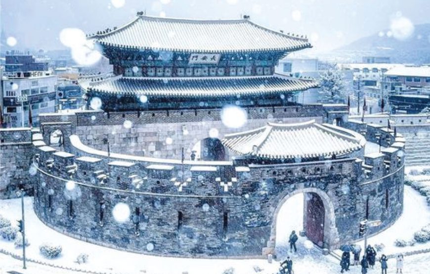 Korea Jeju Winter 2024