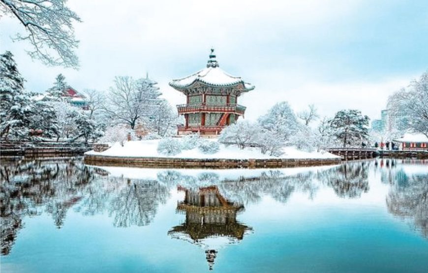 Korea Jeju Winter 2024