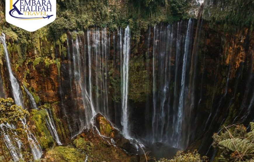 Surabaya, Malang, Bromo